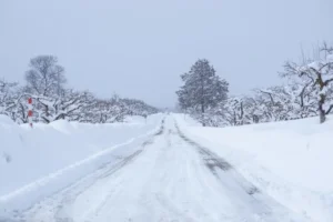 鬼怒川温泉の雪はいつから降る？ノーマルタイヤの車でいける？