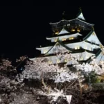 大阪城の夜桜ライトアップはいつからいつまで？チケットの有無など調査！