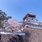 小倉城の花見の時間は？屋台の有無や、桜の開花状況チェック方法ご紹介！