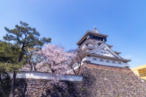 小倉城の花見の時間は？屋台の有無や、桜の開花状況チェック方法ご紹介！
