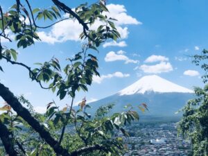 富士山は世界遺産にいつなった？登録理由や自然遺産について徹底調査！